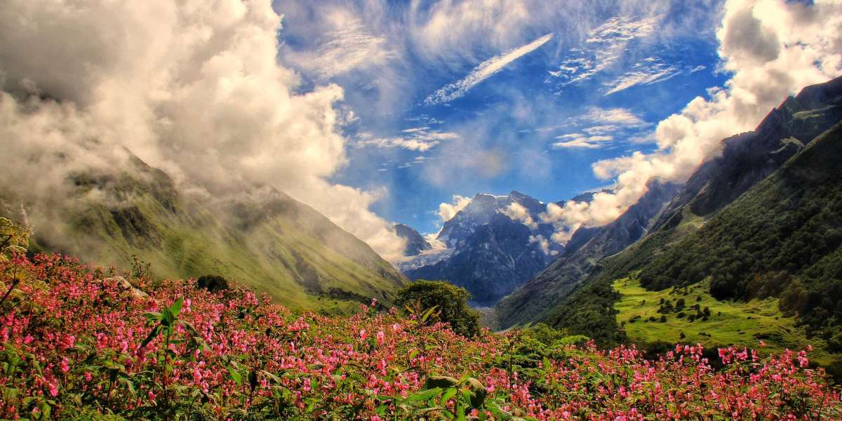 Wildlife Encounters on Kuari Pass Trek